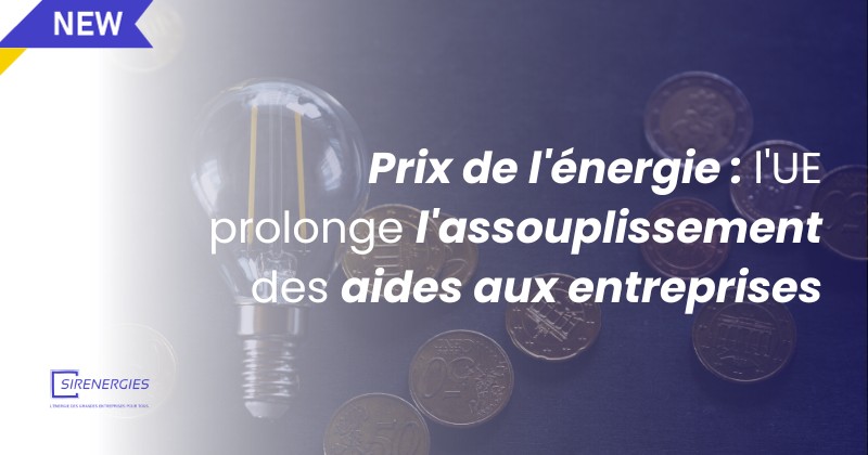 Prix de l'énergie : l'UE prolonge l'assouplissement des aides aux entreprises
