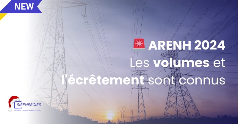 ARENH 2024